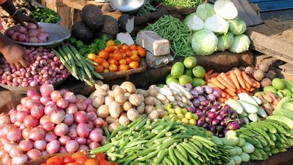 食品营养成分预包装食品微生物检测